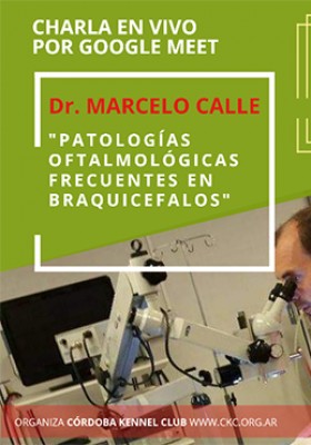 6 de agosto 20 hs. Charla con el Dr. Marcelo Calle...