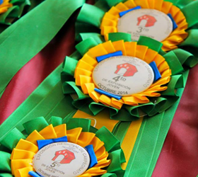 Inscribir perros de raza