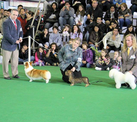 Kennel Club Córdoba