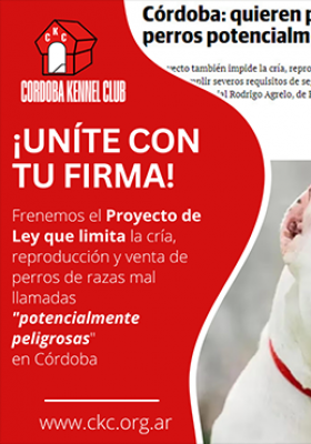 Detengamos el proyecto de ley que amenaza a los pe...