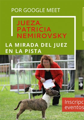 9 de julio 20 hs. Charla con la Jueza Patricia Nem...