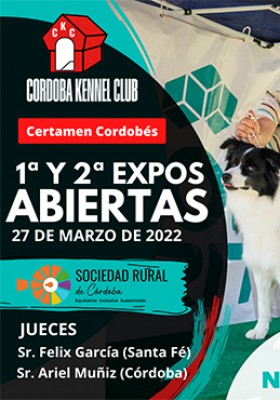 1ª y 2ª Exposiciones Abiertas. Domingo 27 de mar...