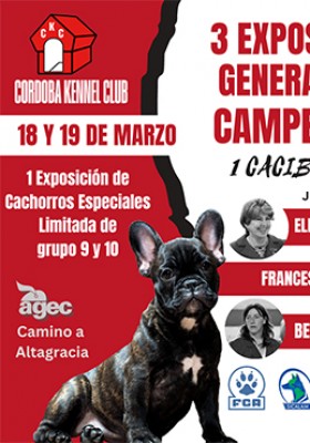 18 y 19 de marzo de 2023. 3 Exposiciones Generales...
