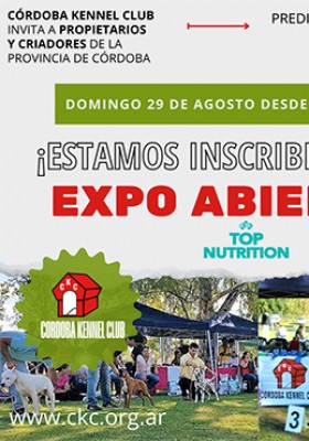 Exposición Abierta. Domingo 29 de agosto de 2021...
