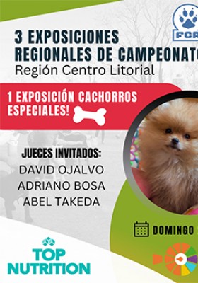 20 de noviembre de 2022. 3 Exposiciones Regionales...