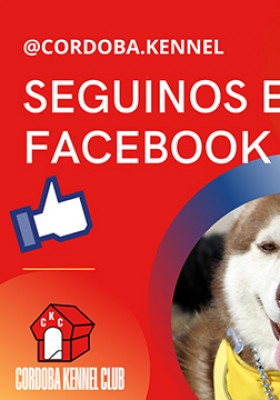 Seguinos en Facebook...