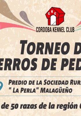 3 EXPOSICIONES REGIONALES 2016...