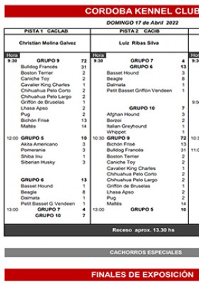 Información sobre Grupos y Pistas para el Domingo...