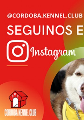Seguinos en Instagram...