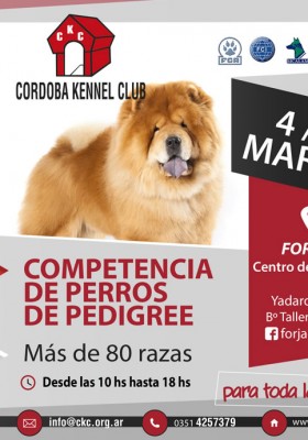Horarios Expo 4/5 Marzo 2017...