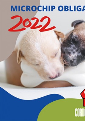 Microchip obligatorio para el 2022...
