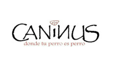 exposiciones caninas